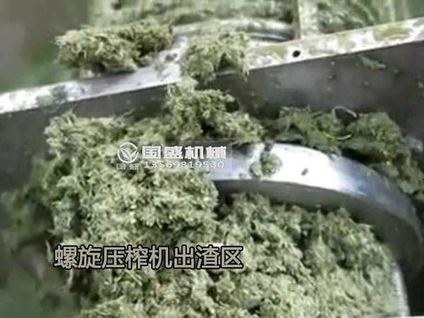 大白菜挤压脱水